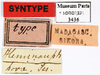 CollectionObject 1587352; MNHN(SF IMPORT DUPLICATE) MNHN-EP-EP3436, 48ddd83d-d2c2-4500-8ce4-d467c2f1ce20: CC BY-NC-ND 4.0/MNHN - Depraetere Marion - 2014. Syntype, sex unknown, of hova Saussure & Zehntner, 1895. Specimen number: MNHN-EP-EP3436. http://coldb.mnhn.fr/catalognumber/mnhn/ep/ep3436. (CollectionObject).
