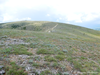 CollectionObject 1591166; 67c7cae6-9a5d-43ba-90cf-3d36ba1652f5: habitat (BG: Upper Thrace lowland, village Novo Selo). (CollectionObject).