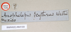 CollectionObject 1559190; 757e84e3-b278-4b57-80c7-bf8a63723ab9: copyright Natural History Museum, London. male, data labels, round blue label reversed (lectotype). (CollectionObject).
