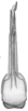 Aedeagus, ventral view on Doratura medvedevi Logvinenko, 1961: ventral view. (Observation).