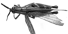 CollectionObject 1521522; 0bf30b91-8f5e-4d2d-9cad-aacd66faa96c: Image Carbonell, C.S. female, dorsal view (holotype). (CollectionObject).