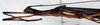 CollectionObject 1560949; 3eeb7f79-f566-4ffa-99dd-7898220da20a: copyright NMW, Vienna. female: head and thorax, lateral view (syntype). (CollectionObject).;CollectionObject 1560950; c892e0ec-cfc4-4494-808f-a5631ca2cd83: copyright NMW, Vienna. female: head and thorax, lateral view (syntype). (CollectionObject).
