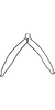 Connective on Diomma (Dilobonota) Dworakowska, 1972: Connective (D. cristata Dwor.). (Observation).