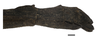 CollectionObject 1596257; 9dfcb0ca-1af0-4198-8a27-0d52024f92dc: copyright NKUM Nankai. female: end of abdomen, lateral view (holotype). (CollectionObject).