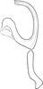 Aedeagus, lateral view: !! display not done !! on Agallia consobrina Curtis, 1833: Aedeagus, lateral view. (Observation).