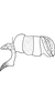 Anal tube processes on Arboridia (Arboridia) hussaini (Ghauri, 1963) now Arboridia (Arboridia) kermanshah (Dlabola, 1963): Anal tube process. (Observation).