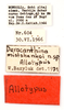 CollectionObject 1578328; a8edc683-f37b-407d-908a-f65e7ce8b7d0: labels (allotype of Deracanthina mistshenkoi Bazyluk, 1972). (CollectionObject).
