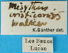 CollectionObject 1501769; c75e4c0c-8497-4b59-9e25-029a83ea6be5: labels. (CollectionObject).;CollectionObject 1501770; 9970d437-8723-4136-90db-46d1508abb1b: labels. (CollectionObject).