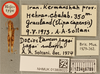 CollectionObject 1478535; 658f52bf-6347-4dd0-bf12-f5fc27b805a7: male, dorsal view, labels (holotype). (CollectionObject).