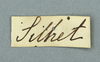 CollectionObject 1561248; 3ba9d821-6893-4d24-9da4-64848fa3b1df: Copyright OUMNH. female, data label (lectotype). (CollectionObject).