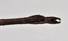 CollectionObject 1558576; NTUC 709 and barcoded specimens, 93d36653-c881-422a-9af7-b37747fc2d15: copyright NTUC. male: end of abdomen, ventral view of Entoria miyakoensis (syntype). (CollectionObject).