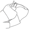 Euschmidtia viridifasciata Descamps, 1973: Fig. 15. male abdomen tip, lateral view. (Otu).