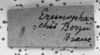 CollectionObject 1506638; 8f186a53-74a0-4538-a1ee-8aa98b50bedf: Image Carbonell, C.S. label. (CollectionObject).