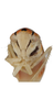 Head on Brazosa mildredireanae Pinedo-Escatel & Dietrich, 2020: face, male. (Observation).
