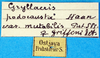CollectionObject 1502288; f4dba66e-d744-447c-9ff2-89fcfba7f4d3: labels. (CollectionObject).