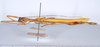 CollectionObject 1561431; 89b4e4a5-d747-41c2-a48f-7c2958368892: copyright ANSP. female, lateral view (holotype). (CollectionObject).