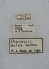 CollectionObject 1575503; e8fea2d2-5c75-4710-b630-44278072cd4a: labels. (CollectionObject).