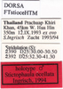 CollectionObject 1505313; b71307e7-dc91-41fb-aa40-cd0250c9d017: labels (holotype). (CollectionObject).