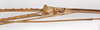 CollectionObject 1561155; 040c2275-e9ad-4e82-b679-b7d9c64f2b7f: copyright ZMSC. male, head (holotype). (CollectionObject).
