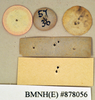 Apsidopis oxyptera (Walker, 1868): Holotype, unsexed, labels, reverse. BMNH(E)#878056. (Otu).