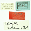 CollectionObject 1532638; 2cef890a-3906-4ebb-8ad2-3afa64d69766: labels (holotype). (CollectionObject).