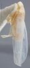 Habitus, lateral view on Edwardsiana candidula (Kirschbaum, 1868): Lateral. (Observation).