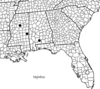 Melanoplus tendoyense Otte, 2012: Geographic distribution. (Otu).
