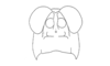 Exerythracris volcanica Rowell, 1995: Fig. 2E. male face, frontal view. (Otu).