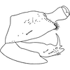 Pygofer, lateral view: Pygofer, lateral view. (Observation).