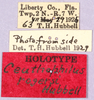 CollectionObject 1499231; f5075815-949f-4fbd-bc6a-29bcce847389: labels (holotype). (CollectionObject).