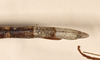 CollectionObject 1556950; 9f2cbcc4-4dea-4813-8016-e8a89e139151: copyright UMO. female: end of abdomen, dorsal view (syntype). (CollectionObject).;CollectionObject 1556951; 112d4c60-f82e-4830-a689-d06ca3356b17: copyright UMO. female: end of abdomen, dorsal view (syntype). (CollectionObject).