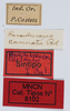 CollectionObject 1535024; d8d3c97f-271e-4124-87f1-3ecb9cc0e682: labels (syntype). (CollectionObject).