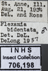 Other on Flexamia sandersi (Osborn, 1907): Labels. Labels for the specimen used for the Male dorsal, lateral and face images. (Observation).