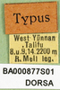 CollectionObject 1501307; f5261c29-1914-4ae2-ba55-cb7885476066: labels (holotype). (CollectionObject).