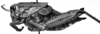 CollectionObject 1477910; 8700d41f-1ab6-4611-bd1d-a46a02a5cfce: Image Carbonell, C.S. female, lateral view (syntype). (CollectionObject).