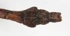 CollectionObject 1557631; NMW 644, ea3cf36b-9103-46d0-aad2-fc5629655c9a: copyright NMW, Vienna. male: end of abdomen, dorsal view (syntype). (CollectionObject).