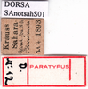 CollectionObject 1501661; e37b34d5-fc23-421a-82c4-fdfecb424a82: labels (syntype). (CollectionObject).