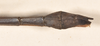 CollectionObject 1559405; 1046c8d2-723b-4527-b54c-82f230e1a3ee: copyright OUMNH. male: end of abdomen, dorsal view of synonym Phasma (Lonchodes) uniforme (holotype). (CollectionObject).