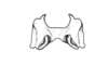 Maeacris aptera Ronderos, 1983: Fig. 5. epiphallus, dorsal view. (Otu).