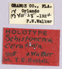 CollectionObject 1499491; 9480232f-b75f-43ef-b871-fd08dec34eba: labels (holotype). (CollectionObject).