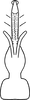 Aedeagus, ventral view on Erythridula minuta (Johnson, 1935): Aedeagus, ventral view. (Observation).