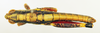 CollectionObject 1518373; 1a7b6138-621d-4b20-b878-d3b1db3e2112: male, dorsal view (holotype). (CollectionObject).
