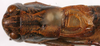CollectionObject 1517125; 671965bf-7459-405b-a74c-3cf8f193a2cf: male pronotum, dorsal view (holotype). (CollectionObject).
