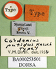 CollectionObject 1501193; e82e4aa1-6753-4f95-af71-29c2d316db52: labels (syntype). (CollectionObject).