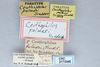 CollectionObject 2741435; 7e496c99-7456-4d7e-9d9c-ce1484f3c06a, CNCI 311946: (CollectionObject).
