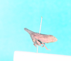 Habitus, lateral view on Enchenopa sericea Walker, 1851: (Observation).