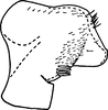 Pygofer, lateral view on Edwardsiana projecta Christian, 1953: Pygofer, lateral view. (Observation).