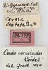 CollectionObject 1566609; NMW 22958, 4d237151-0e7a-4984-88c2-f63cfe15e057: labels. (CollectionObject).