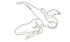 Ateliacris annulicornis annulicornis (Bruner, 1908): Fig. 15. phallic complex, without epiphallus, lateral view. (Otu).