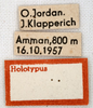 CollectionObject 1538212; 32989f08-e9aa-44c3-a0c8-d5ebd1aee270: labels (holotype). (CollectionObject).